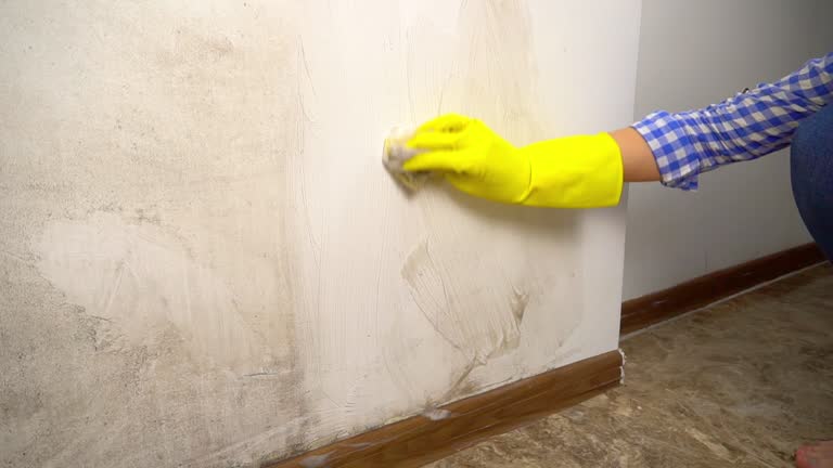 Best Mold Prevention Services  in Mechanicsburg, PA